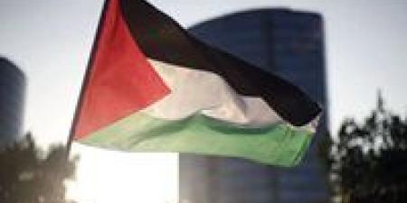 فى اليوم العالمي للتضامن مع الشعب الفلسطيني.. المصري الديمقراطي يؤكد ضرورة إنهاء الاحتلال غير القانوني للأراضي الفلسطينية - تواصل نيوز