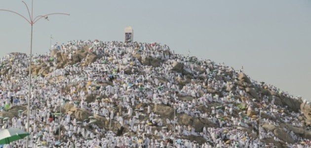 أمين الفتوى: الوقوف بعرفة تذكير بيوم القيامة