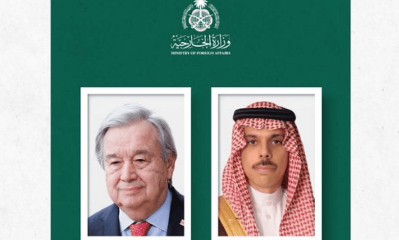 وزير الخارجية يستعرض تحضيرات مؤتمر تسوية القضية الفلسطينية مع أمين عام الأمم المتحدة