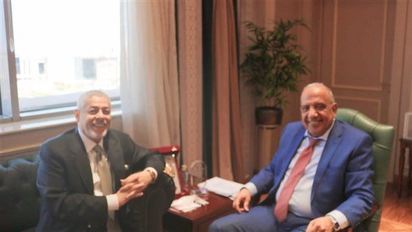 وزير الكهرباء يبحث مع إيميا باور الإماراتية تعزيز التعاون في الطاقة المتجددة