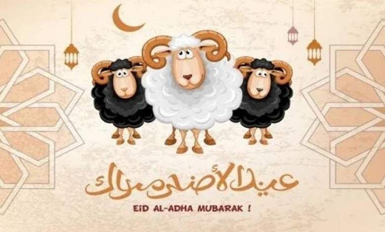 من الاغتسال إلى الذبح.. أبرز سنن عيد الأضحى المبارك كما وردت عن النبي
