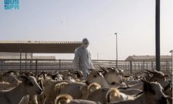 المركز الوطني للوقاية
