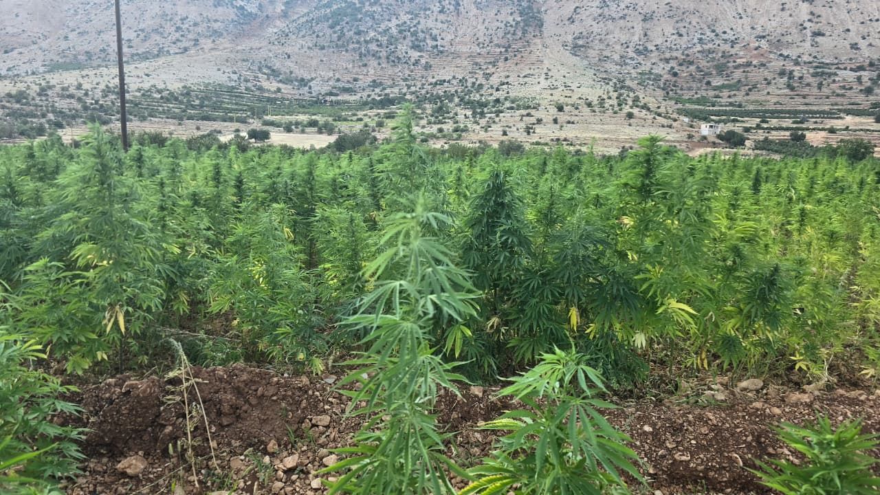مشروع منتج وطني.