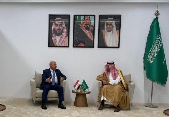 وزير الصناعة: مصر تتطلع إلى المزيد من الاستثمارات السعودية في «الألومنيوم والصناعات الكيماوية PVC» وزير الصناعة: مصر تتطلع إلى المزيد من الاستثمارات السعودية في «الألومنيوم والصناعات الكيماوية PVC»