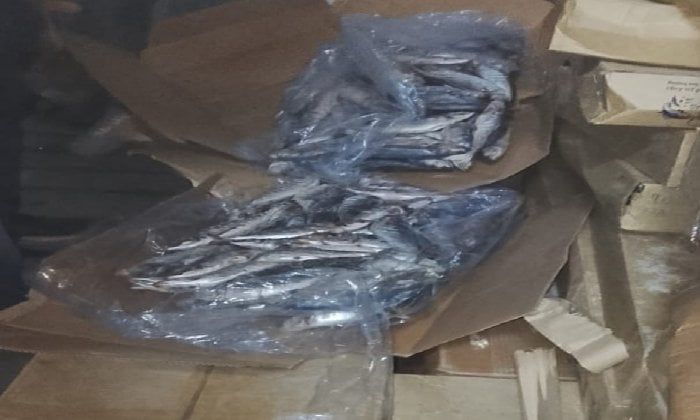 ضبط 35 طن سمك ماكريل وكبدة مجمدة غبر صالحة للاستهلاك الآدمي بكفر الدوا في البحيرة ضبط 35 طن سمك ماكريل وكبدة مجمدة غبر صالحة للاستهلاك الآدمي بكفر الدوا في البحيرة