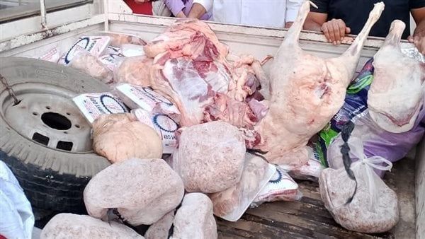 ضبط ربع طن لحوم مذبوحة خارج المجازر بالمنوفية ضبط ربع طن لحوم مذبوحة خارج المجازر بالمنوفية