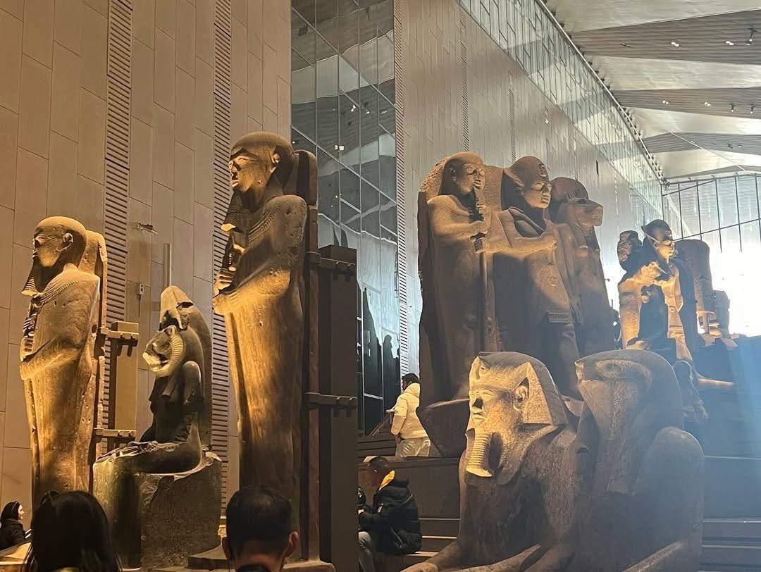 المتحف المصري الكبير (اكس)