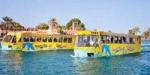 إطلاق أول أتوبيس برمائي في مصر على نهر النيل - تواصل نيوز