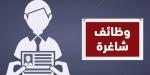 وزارة العمل توفر فرص عمل جديدة برواتب تصل إلى 15 ألف جنيه.. تفاصيل - تواصل نيوز