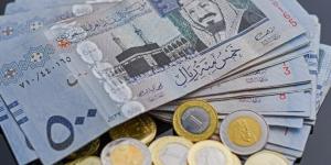 بكام في البنك المركزي؟.. سعر الريال السعودي اليوم الإثنين 9 يونيو 2025 - تواصل نيوز
