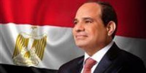 مصر ثابتة وسط عواصف الإقليم..ماذا فعل الرئيس السيسي لتأمين مصر - تواصل نيوز
