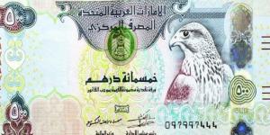 اخبار اليوم - الدرهم الاماراتى يسجل 13.53 فى البنوك المصريةمنتصف تعاملات اليوم - تواصل نيوز