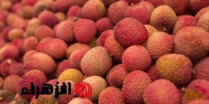 «ضاع عمرك وانت مش عارفها».. فاكهة لو زرعتها في الجو ده هتبقي ملياردير وهتقول يا ريتني كنت عرفتها من زمان - تواصل نيوز