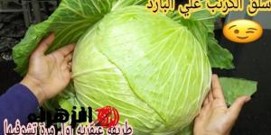 «حيلة سحرية لسلق الكرنب بدون نقطة ماء».. هتسوي أكثر من 5 وحدات في دقائق وبمنتهى السهولة - تواصل نيوز