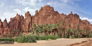 واحات السعودية: هروب أنيق من صخب المدن - تواصل نيوز