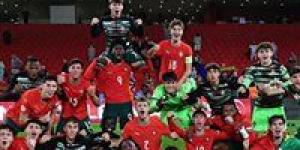 منتخب النمسا يواجه البرتغال في نهائي كأس العالم للناشئين تحت 17 عاماً.. وخروج إيطاليا والبرازيل - تواصل نيوز