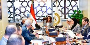 وزيرة التنمية المحلية توجه بتشكيل لجنة علمية متخصصة لتقييم الأثر البيئي للمشروعات - تواصل نيوز