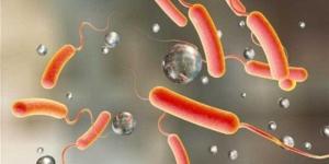 مستشار الرئيس لشؤون الصحة: لا انتشار لأي فيروسات تنفسية خطيرة في مصر - تواصل نيوز