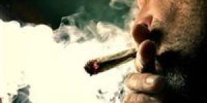 تعاطوا مخدرات أثناء العمل.. قرار عاجل من محافظ أسوان ضد 9 موظفين - تواصل نيوز