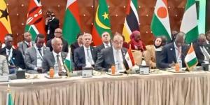 وزير قطاع الأعمال: مصر من الدول الرائدة في الأدوية.. ومستعدون لدعم توطين الصناعة بالقارة الأفريقية - تواصل نيوز