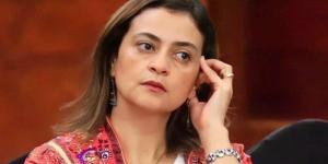 «لم تعقد منذ فترة».. عضو لجنة الدراما تحسم الجدل بشأن قرارات لجنة الدراما - تواصل نيوز