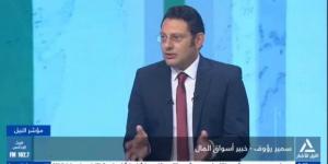 ما العلاقة بين تحويلات المصريين بالخارج واستقرار الدولار؟.. خبير اقتصادي يوضح - تواصل نيوز