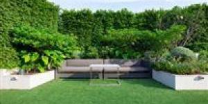 حديقتك أو بلكونتك بلا حشرات: 7 خطوات طبيعية لحماية مساحتك الخضراء - تواصل نيوز