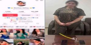 موعد أولى جلسات محاكمة البلوجر نورهان حفظي بتهمة نشر فيديوهات خادشة - تواصل نيوز