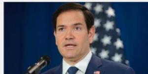 البيت الأبيض: مجلس السلام فى غزة يضم روبيو وويتكوف وكوشنر وبلير و 3 آخرين - تواصل نيوز