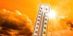 ماذا يحدث داخل مركز التحكم القومي للغاز أثناء موجات الحر الشديدة؟ - تواصل نيوز