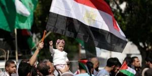 عاجل.. بدء اجتماع الفصائل الفلسطينية والوسطاء من مصر وقطر وتركيا في القاهرة - تواصل نيوز