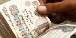 وصل لـ 39%.. شهادات الادخار بعائد مدفوع مقدما في 5 بنوك - تواصل نيوز