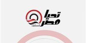 نادر نور: محمود العسيلي قالي الأغنية دي مش لوني وحصل تواصل بيني وبين تركي آل الشيخ - تواصل نيوز