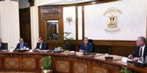 رئيس الوزراء يتابع موقف تدبير الاعتمادات المالية لتوفير احتياجات الدولة من المنتجات البترولية - تواصل نيوز
