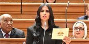 النائبة هايدي المغازي تتقدم بطلب إحاطة بشأن هيكل أجور أعضاء هيئة التدريس بالجامعات الحكومية - تواصل نيوز