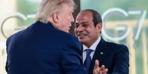 مدير المخابرات المركزية الأمريكية ينقل تحيات «ترامب» إلى الرئيس السيسي.. ماذا قال؟ - تواصل نيوز