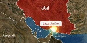 الجيش الإيراني يسقط مسيرة استطلاع فوق مضيق هرمز - تواصل نيوز