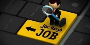 وظائف وزارة العمل برواتب تصل لـ20 ألف جنيه.. التخصصات وشروط وطريقة التقديم - تواصل نيوز