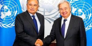 أمينا عام الجامعة العربية والأمم المتحدة يبحثان تنسيق الجهود وسبل احتواء التصعيد بالمنطقة - تواصل نيوز