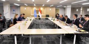 مصر تؤكد دعمها للجهود الرامية إلى إصلاح منظومة الأمم المتحدة - تواصل نيوز