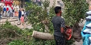 سيناريو قطع الأشجار يتكرر في شارع مصطفى حافظ بعين شمس رغم توجيهات الحفاظ عليها - تواصل نيوز
