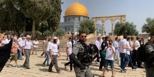 محافظة القدس: 686 مستوطنا يقتحمون المسجد الأقصى تحت حماية قوات الاحتلال - تواصل نيوز