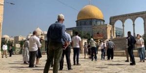 458 مستعمرا يقتحمون المسجد الأقصى بحماية من قوات الاحتلال الإسرائيلي - تواصل نيوز