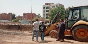 أسوان بشبابها أجمل.. مبادرات أهلية لتجميل الأحياء وتكثيف أعمال النظافة - تواصل نيوز