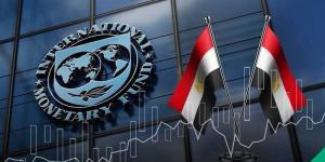 صندوق النقد: الاقتصاد المصري يمتص صدمة الشرق الأوسط بمرونة أكبر والدين يهدد المكاسب - تواصل نيوز