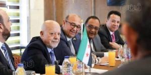 محمد سعدة: مصر ستقدم كافة خبراتها وإمكانياتها إلى سوريا - تواصل نيوز
