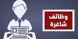 150 فرصة عمل جديدة في القليوبية برواتب 13 ألف جنيه.. التخصصات والشروط - تواصل نيوز