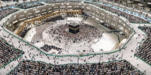 لجان السياحة تواصل المتابعة الميدانية لتنفيذ برامج العمرة بالأراضي المقدسة - تواصل نيوز