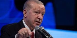 أردوغان يدعو إلى إلغاء "الفيتو" في مجلس الأمن الدولي - تواصل نيوز