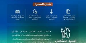 مسح للحشائش البحرية على ساحل الخليج السعودي يرصد موائل الأطوم - تواصل نيوز